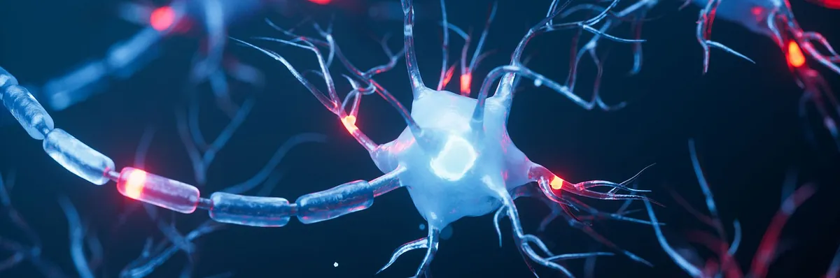 Ihre Stellenanzeige im Fokus – In der Jobbörse der Gesellschaft für Neuropädiatrie e. V. und in der Fachzeitschrift „Neuropädiatrie in Klinik und Praxis“